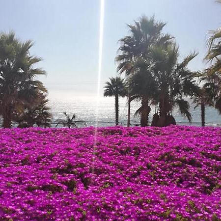 Playa Paraiso Resort Конкон Экстерьер фото